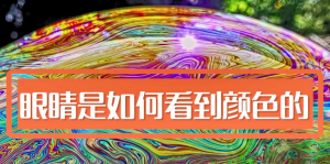 人類是如何看顏色的，影響人眼分辨顏色的因素有哪些?